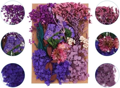 PATIKIL Dried Pressed Flowers for DIY Crafts and Resin