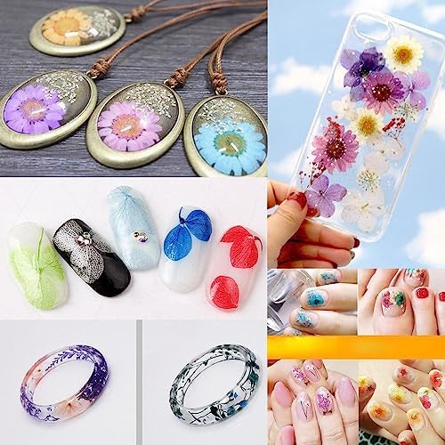72pcs 3D Dried Flowers for Nail Art and Resin Casting