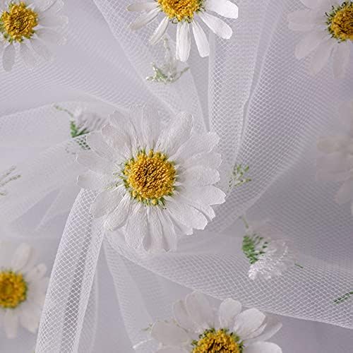 50pcs Natural Dried Daisy Flower for Crafts and Decor