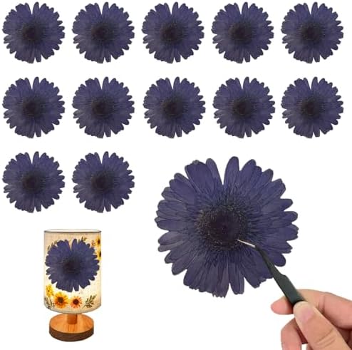 ALJ Large Purple Dried Sunflowers for Resin Crafts
