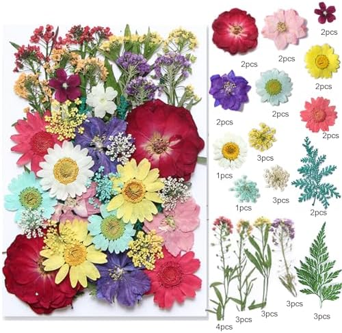 TopFunny 40 Pcs Resin Dried Flowers for DIY Art Crafts
