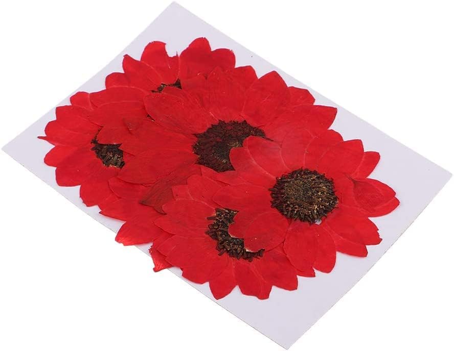 6pcs Red Dried Sunflower Pressed Flowers for DIY Decorations