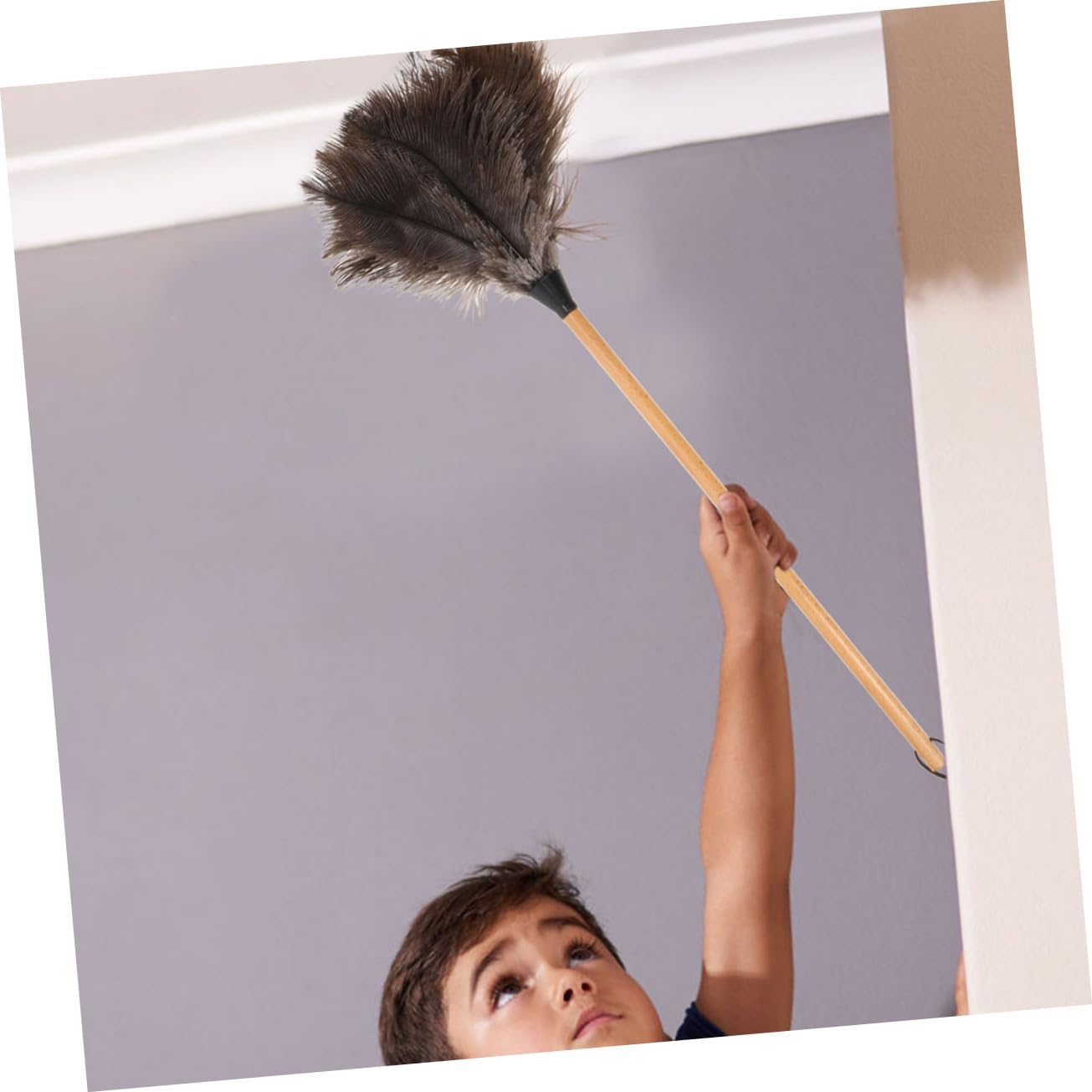 2pcs Feathered Duster with Random Handle for Furniture Cleaning