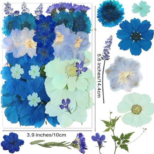 OECCO Large Blue Dried Pressed Flowers for Resin Crafting