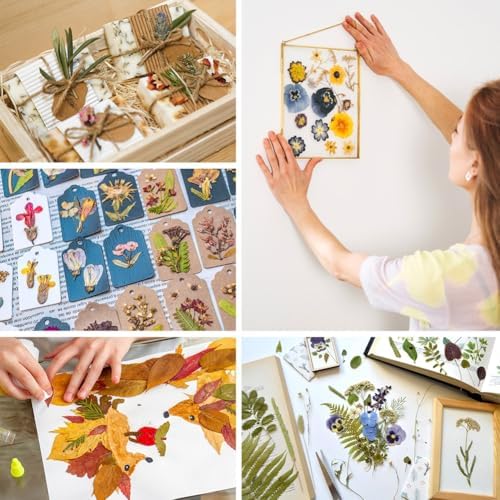 ikasus Black Pressed Dried Flowers for DIY Crafts and Resin Art