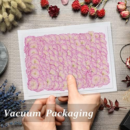 60PCS Pink Dried Cherry Blossom Flowers for Resin Crafting and Candle Making