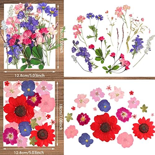 Nuanchu Dried Pressed Flowers for Resin Crafts DIY Decorations