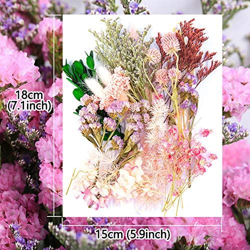 Vignee Real Dried Pressed Leaf Flowers Light Pink