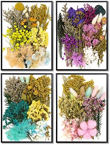 Vignee Real Dried Pressed Flowers Daisies Craft Resin Jewelry Making Art DIY Blue