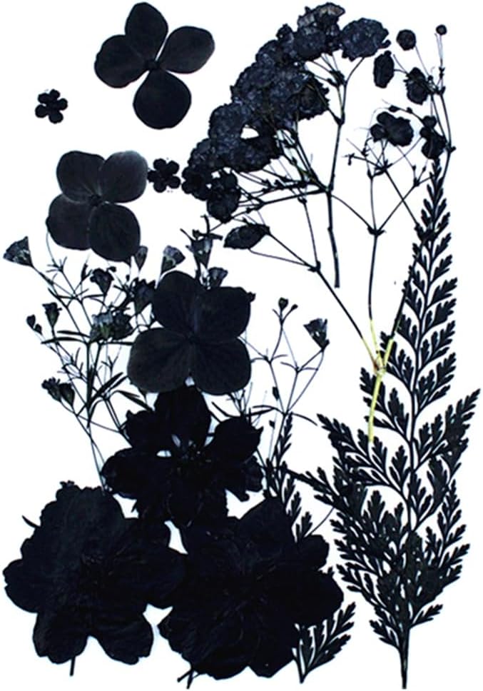 ikasus Black Pressed Dried Flowers for DIY Crafts and Resin Art