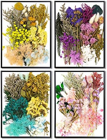Vignee Real Dried Pressed Leaf Flowers Light Pink