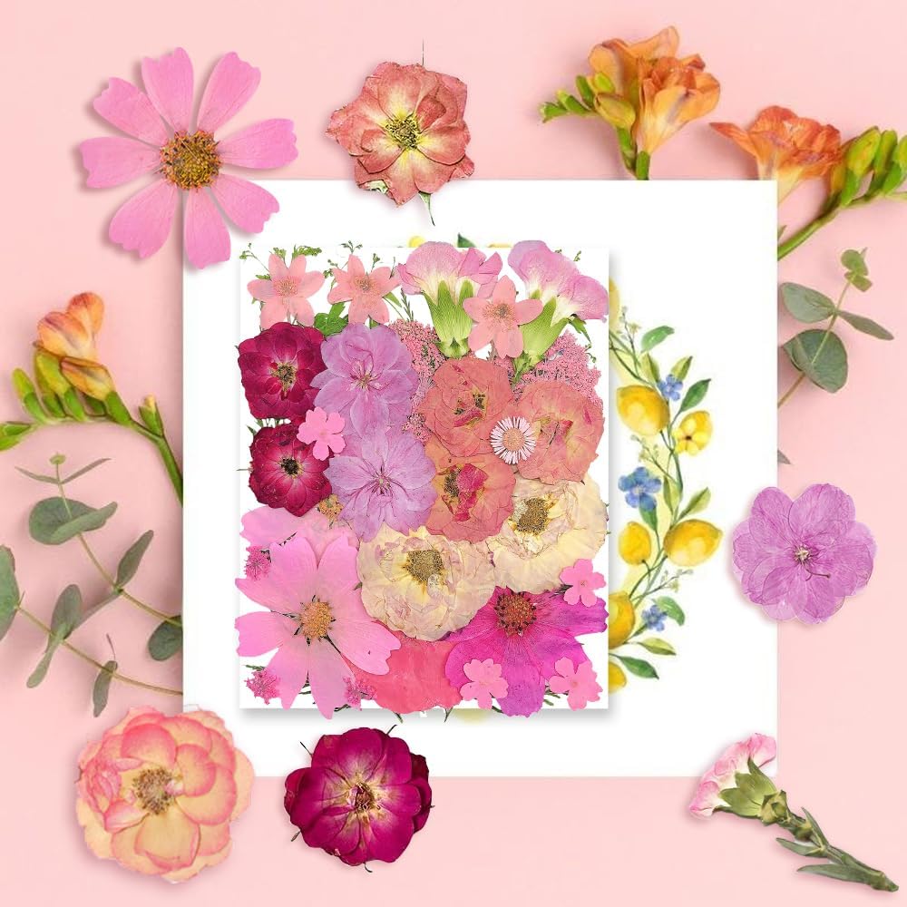 OECCO Large Pink Dried Pressed Flower for Resin Craft