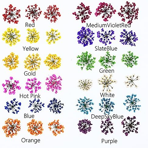 72pcs 3D Dried Flowers for Nail Art and Resin Casting