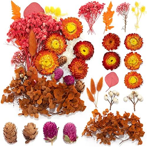 Vignee Real Dried Pressed Flower Daisies for Resin Jewelry Crafting DIY Red
