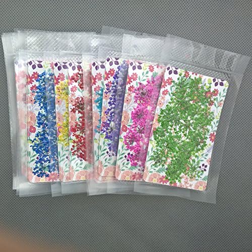 72pcs 3D Dried Flowers for Nail Art and Resin Casting