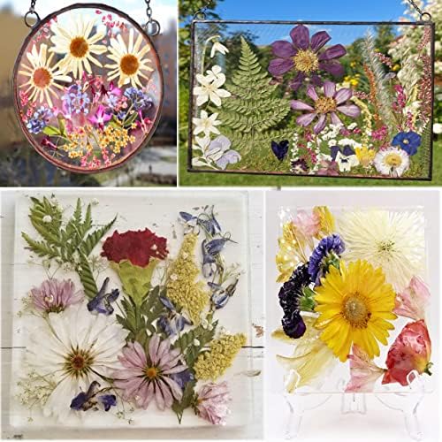 OECOO Purple Dried Pressed Flower for Resin Crafts