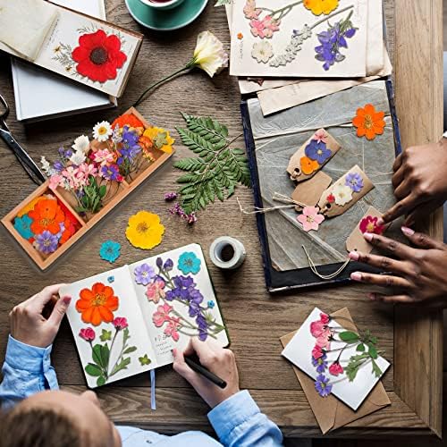 Nuanchu Dried Pressed Flowers for Resin Crafts DIY Decorations