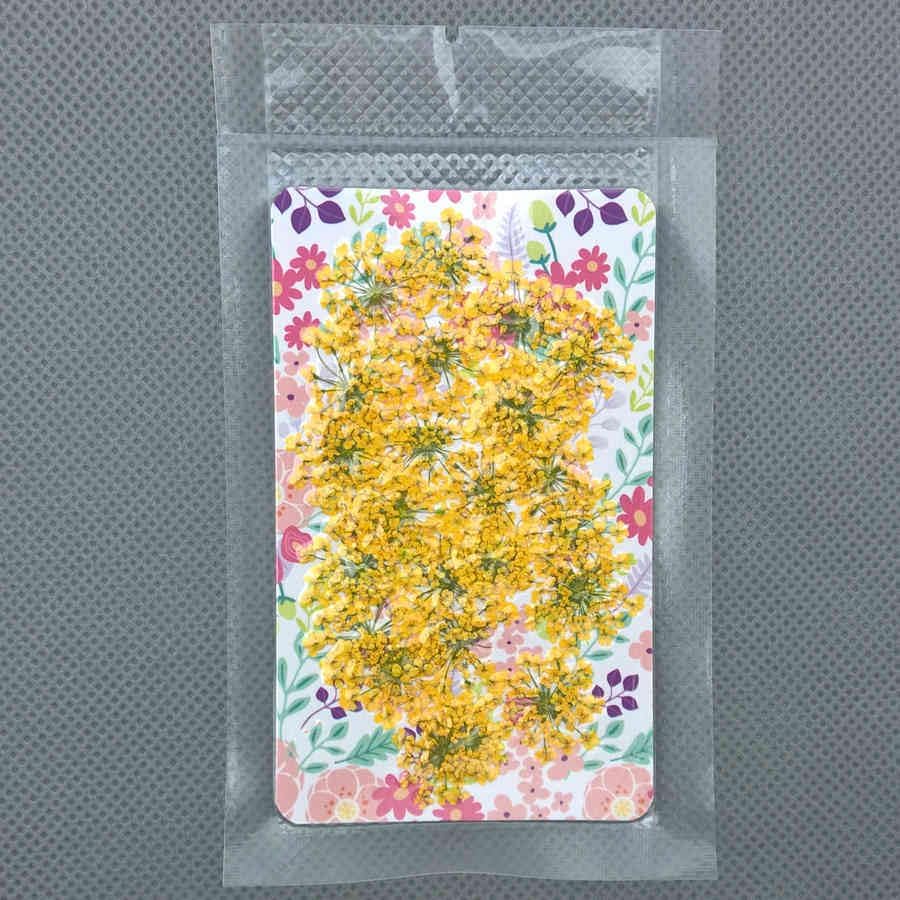 72pcs 3D Dried Flowers for Nail Art and Resin Casting