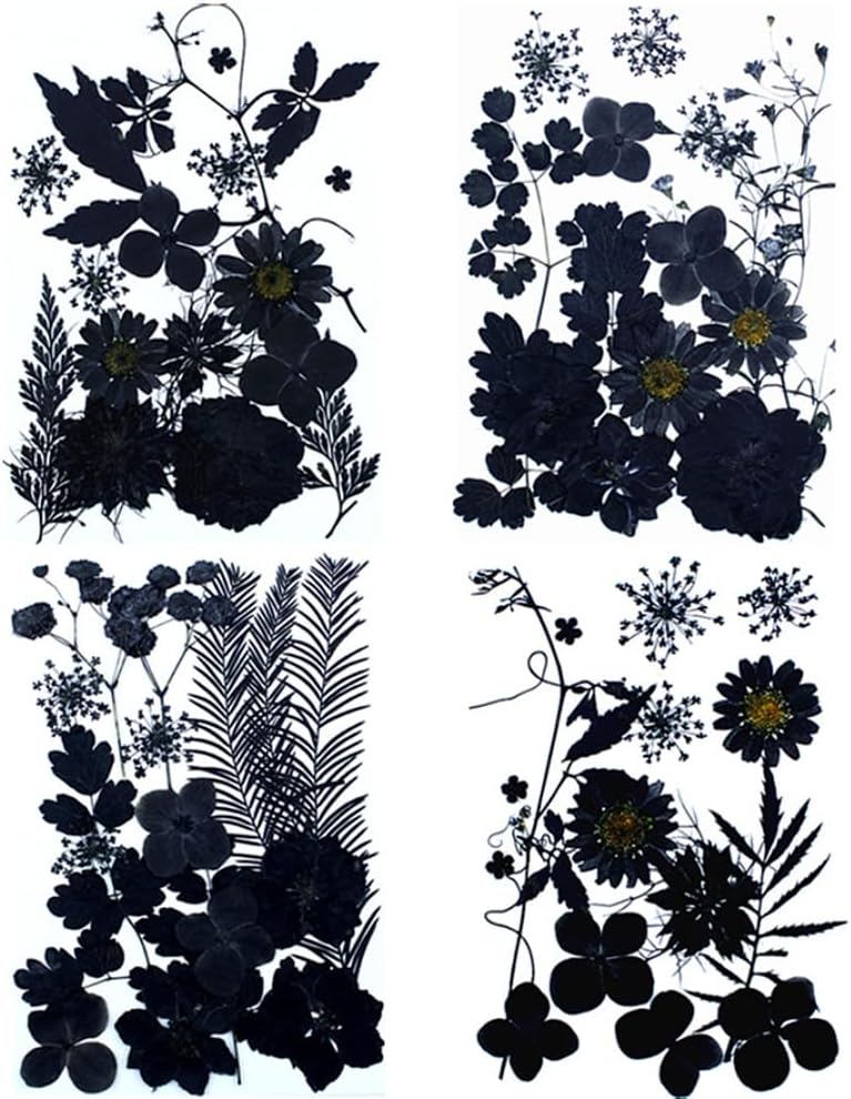 ikasus Black Pressed Dried Flowers for DIY Crafts and Resin Art
