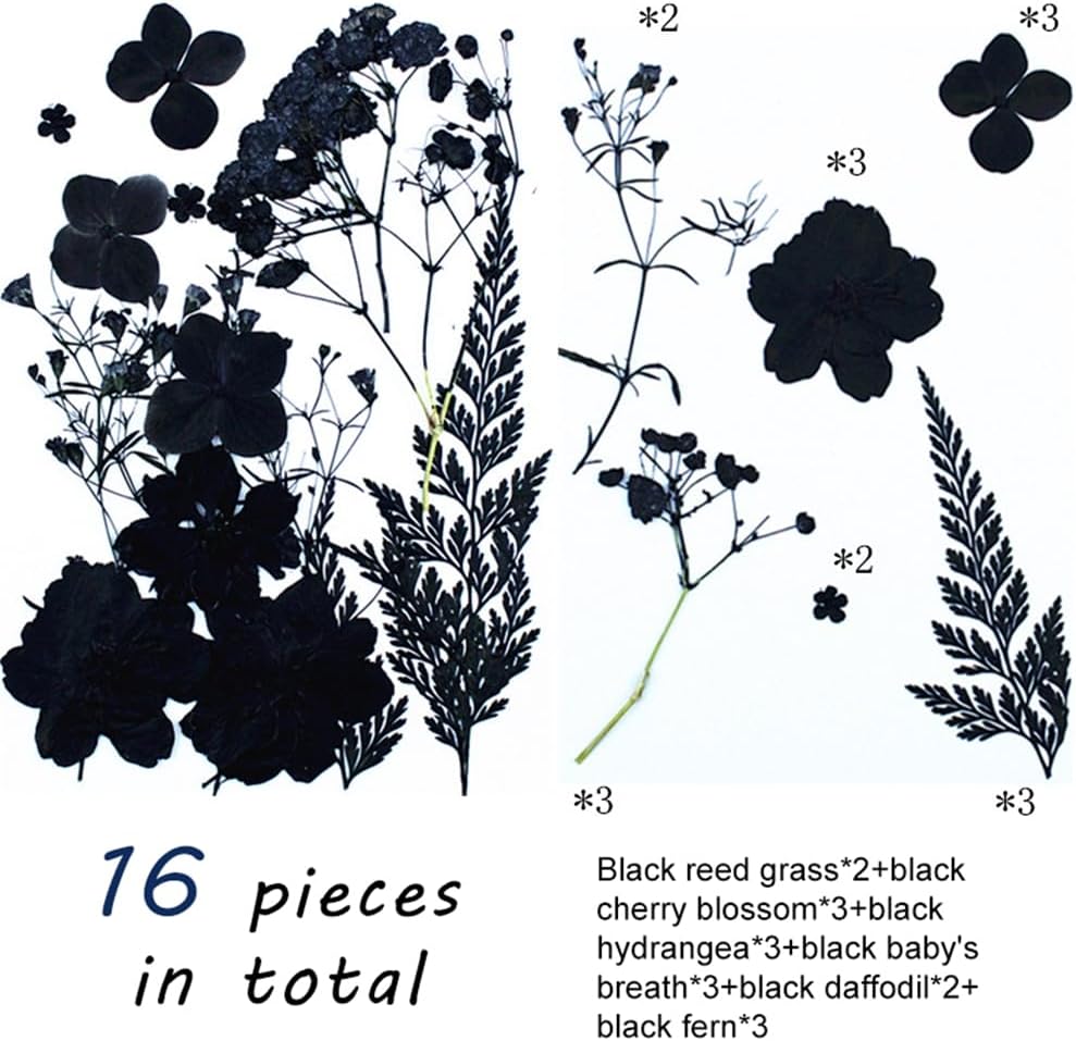 ikasus Black Pressed Dried Flowers for DIY Crafts and Resin Art