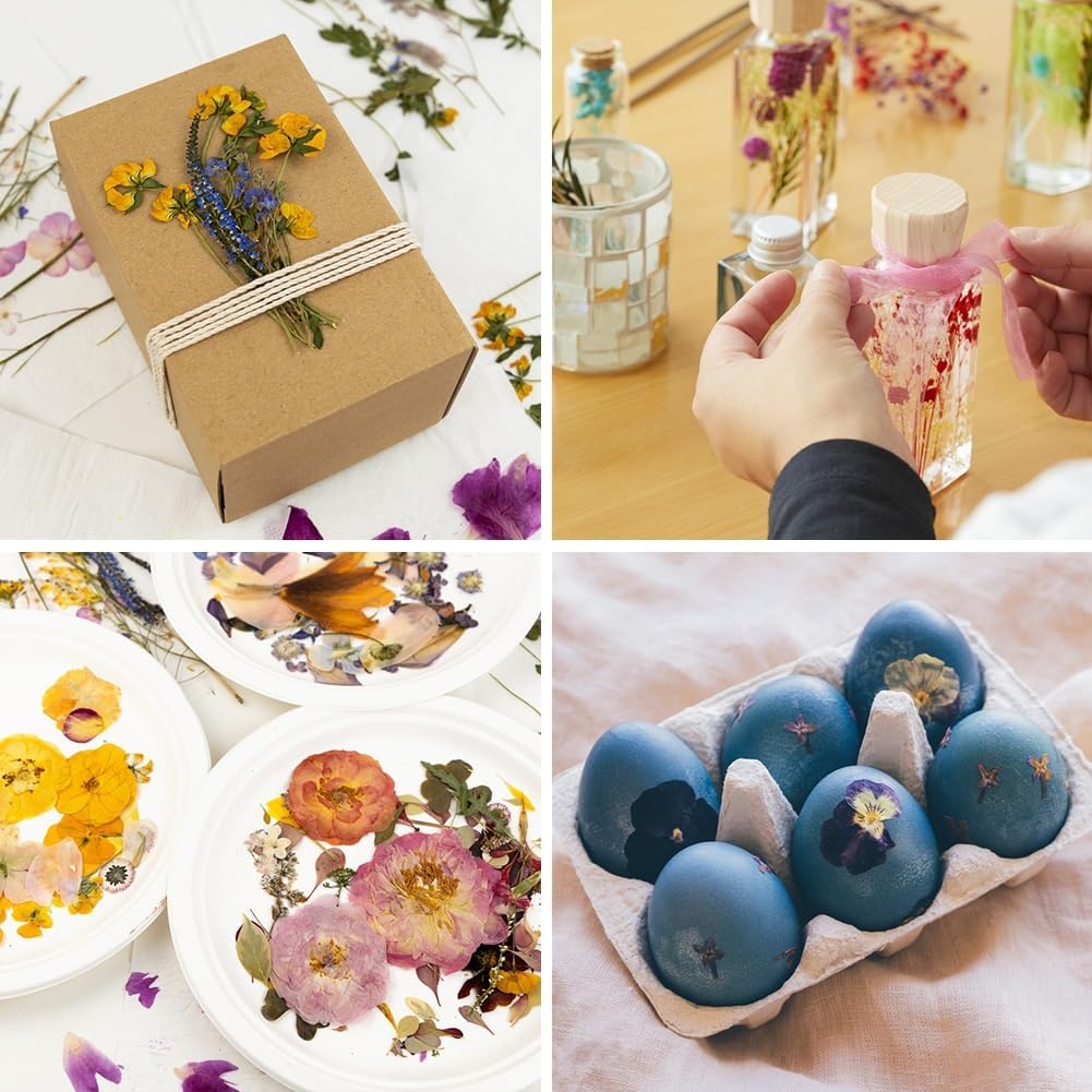 ikasus Black Pressed Dried Flowers for DIY Crafts and Resin Art