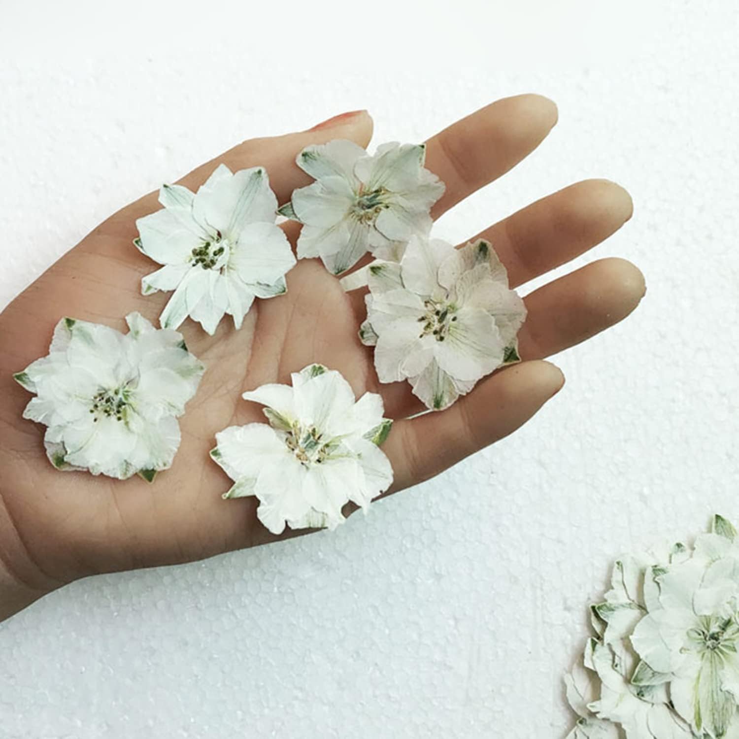 Pressed Dried Delphinium Flowers 30 PCS White Resin Art Supplies