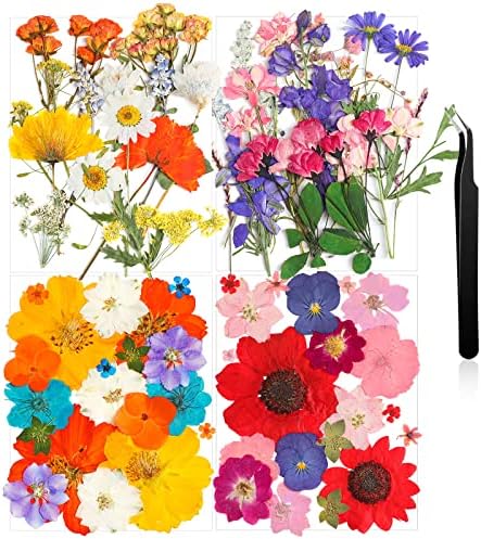 Nuanchu Dried Pressed Flowers for Resin Crafts DIY Decorations
