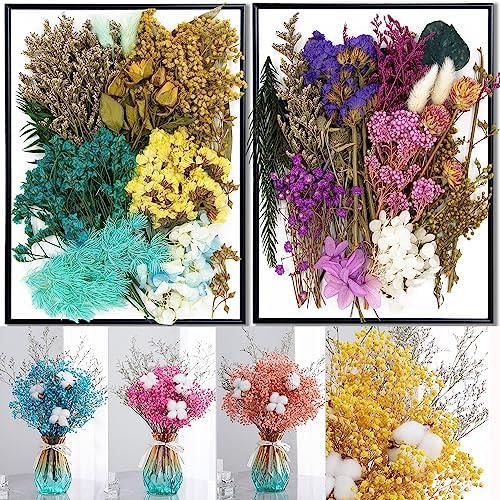 Vignee Real Dried Pressed Flower Daisies for Resin Jewelry Crafting DIY Red
