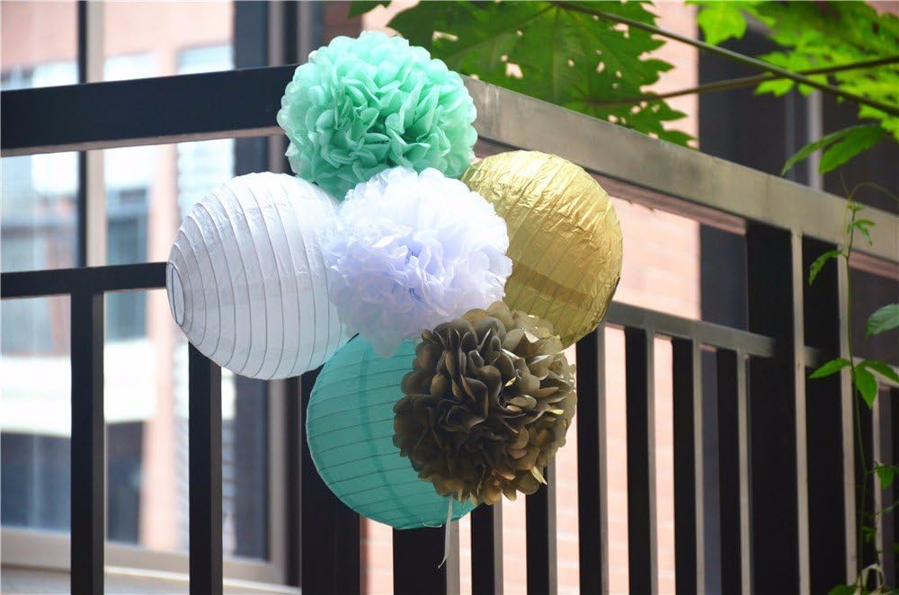 Fascola 6 Piece Paper Lantern and Tissue Flower Set