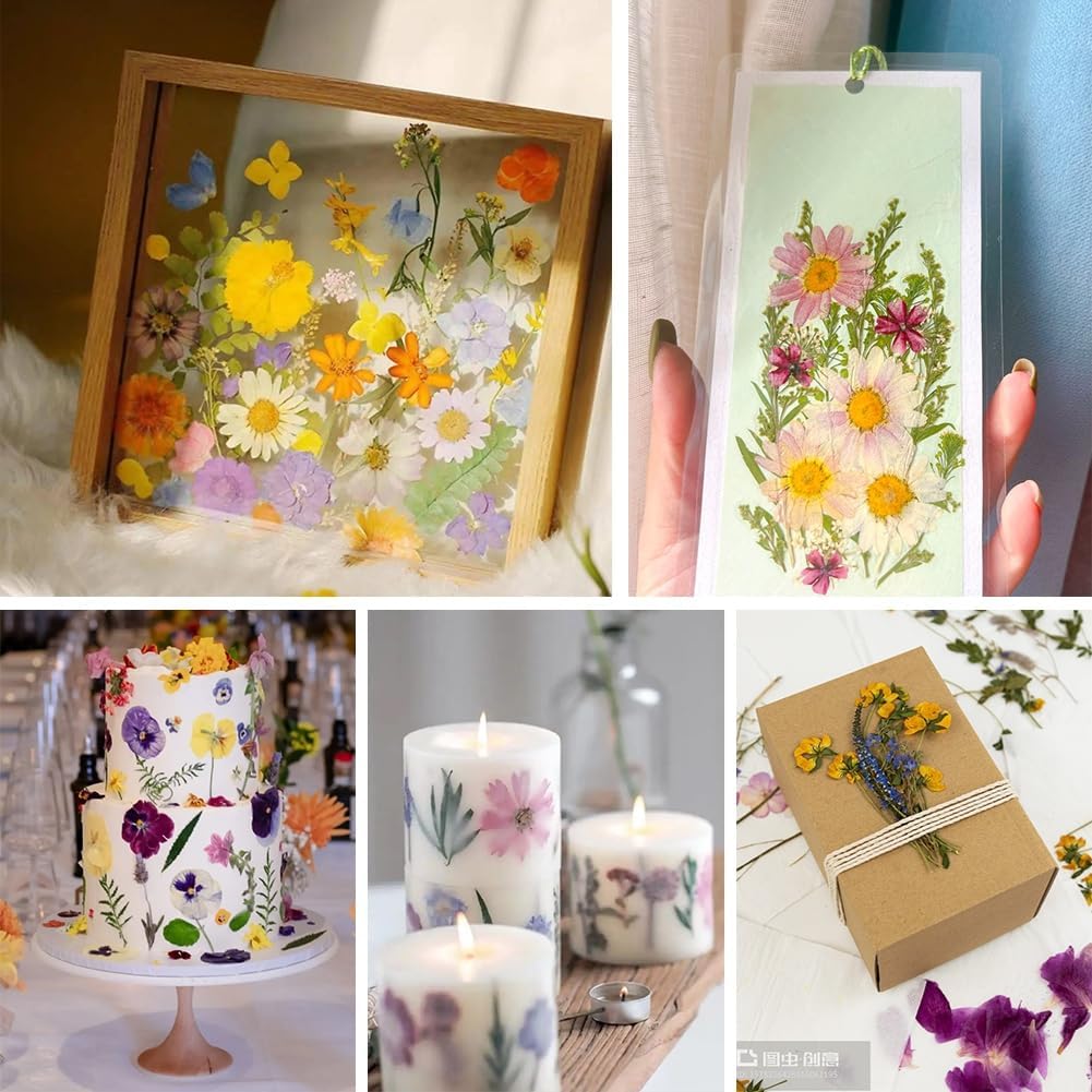 ikasus Black Pressed Dried Flowers for DIY Crafts and Resin Art