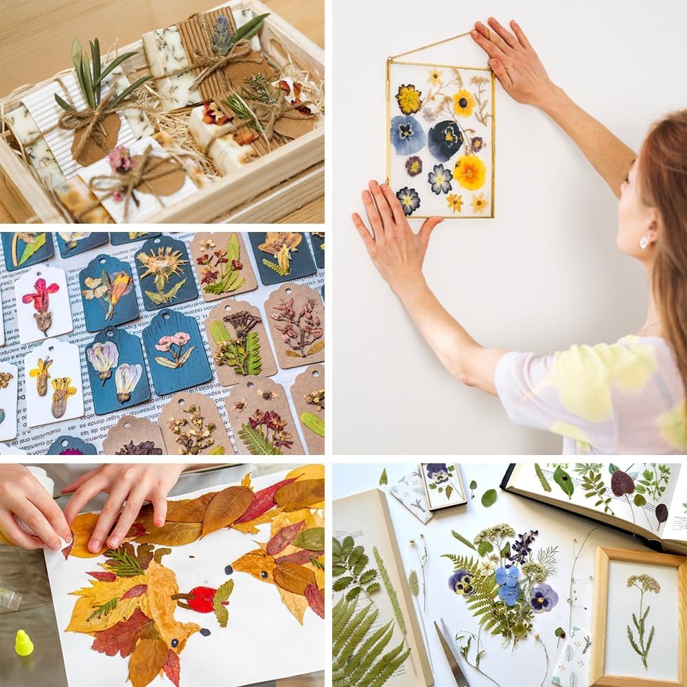 ikasus Black Pressed Dried Flowers for DIY Crafts and Resin Art