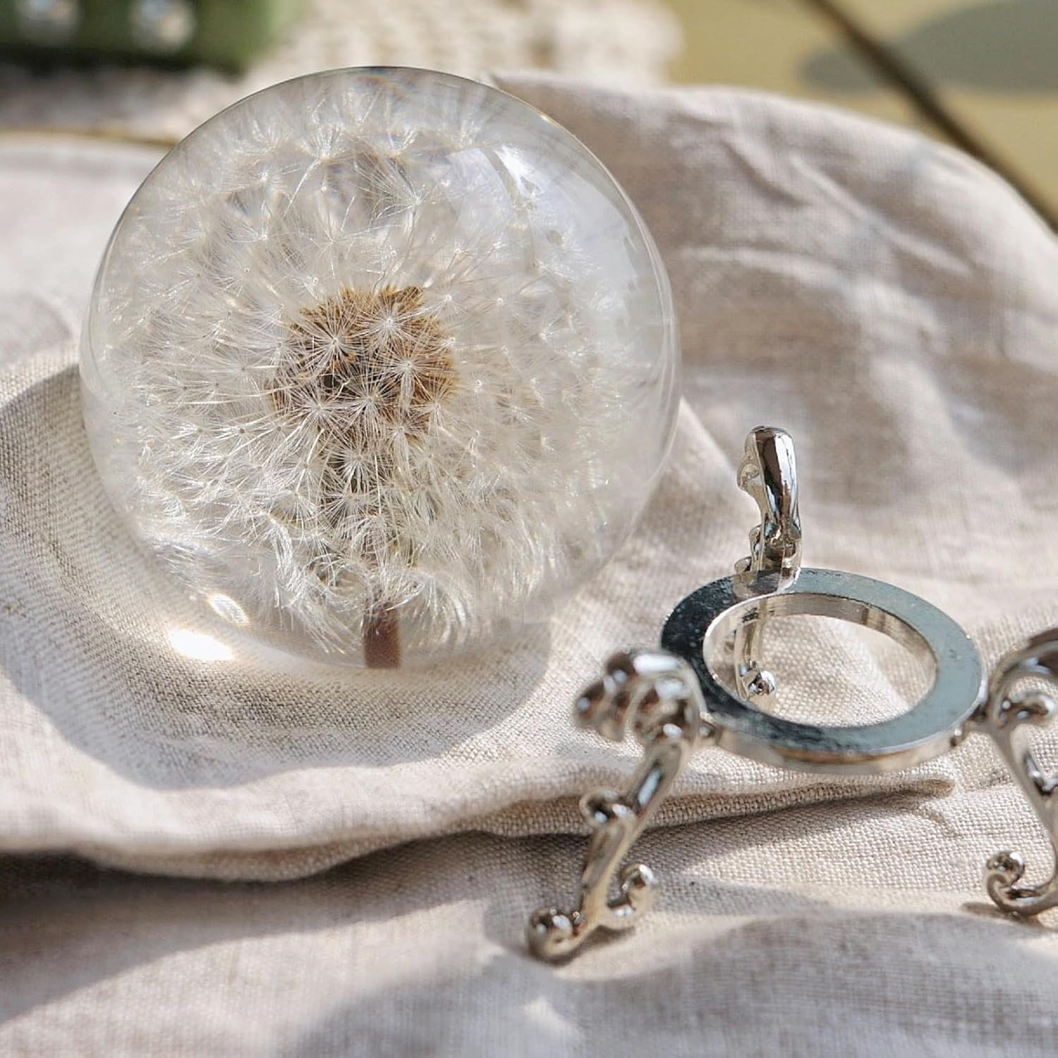 Real Dandelion Paperweight 60mm with Stand