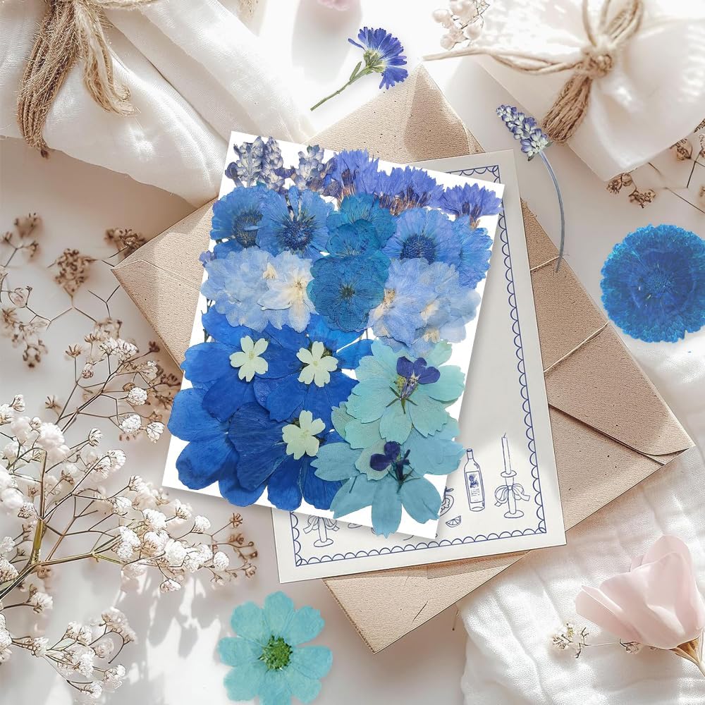 OECCO Large Blue Dried Pressed Flowers for Resin Crafting