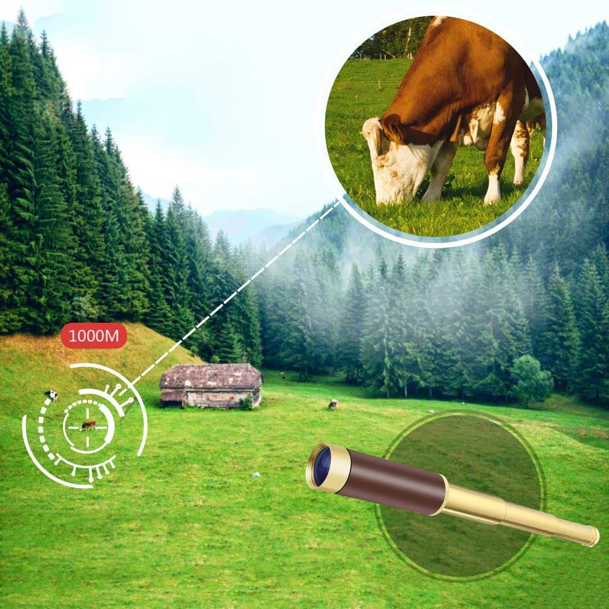 Pirate Monocular Telescope for Kids Adults 25x30 Zoom Portable Spyglass