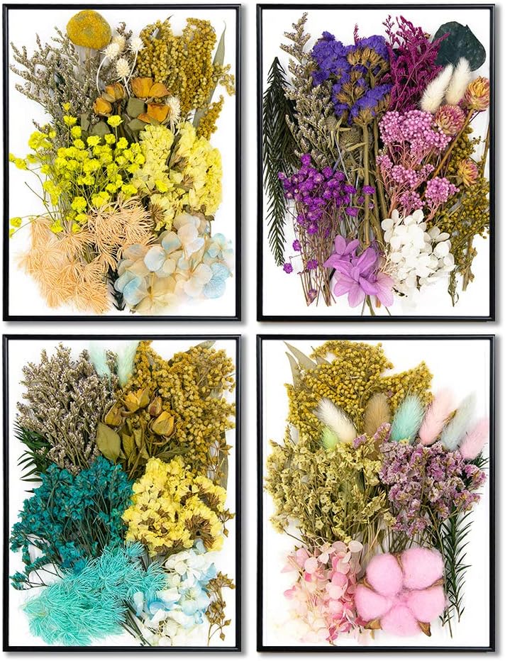 Vignee Real Dried Pressed Flowers Daisies Craft Resin Jewelry Making Art DIY Blue