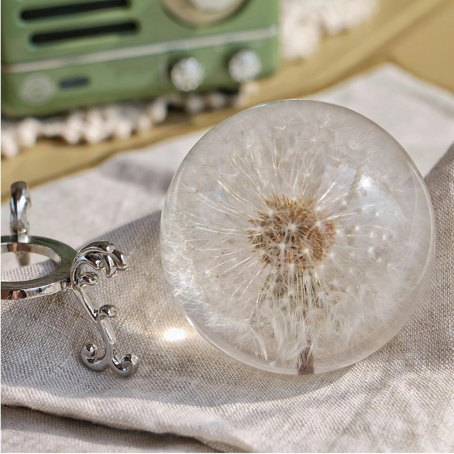 Real Dandelion Paperweight 60mm with Stand