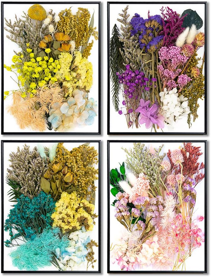 Vignee Real Dried Pressed Leaf Flowers Light Pink