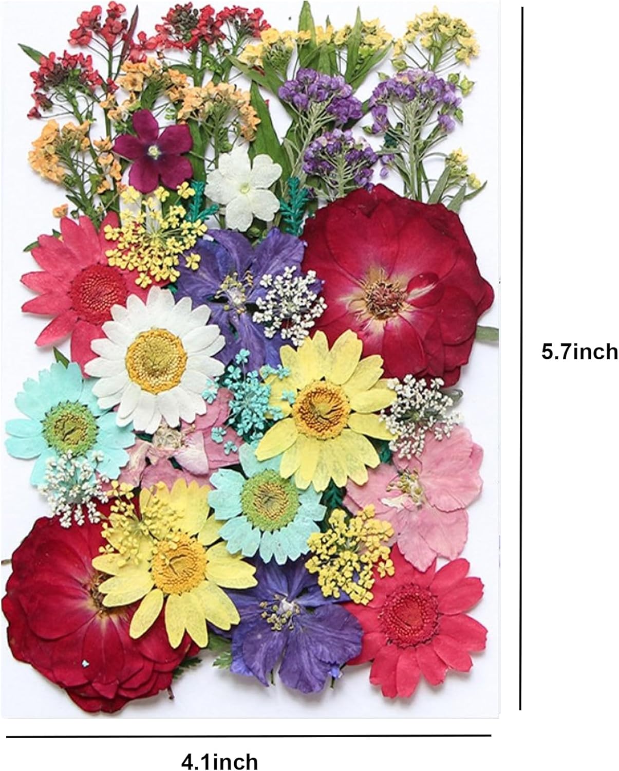 TopFunny 40 Pcs Resin Dried Flowers for DIY Art Crafts