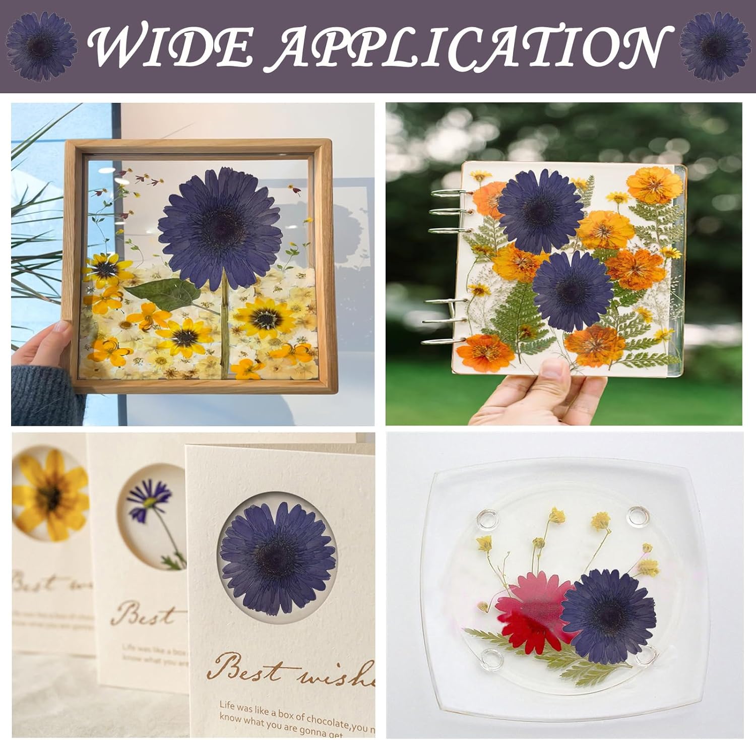 ALJ Large Purple Dried Sunflowers for Resin Crafts
