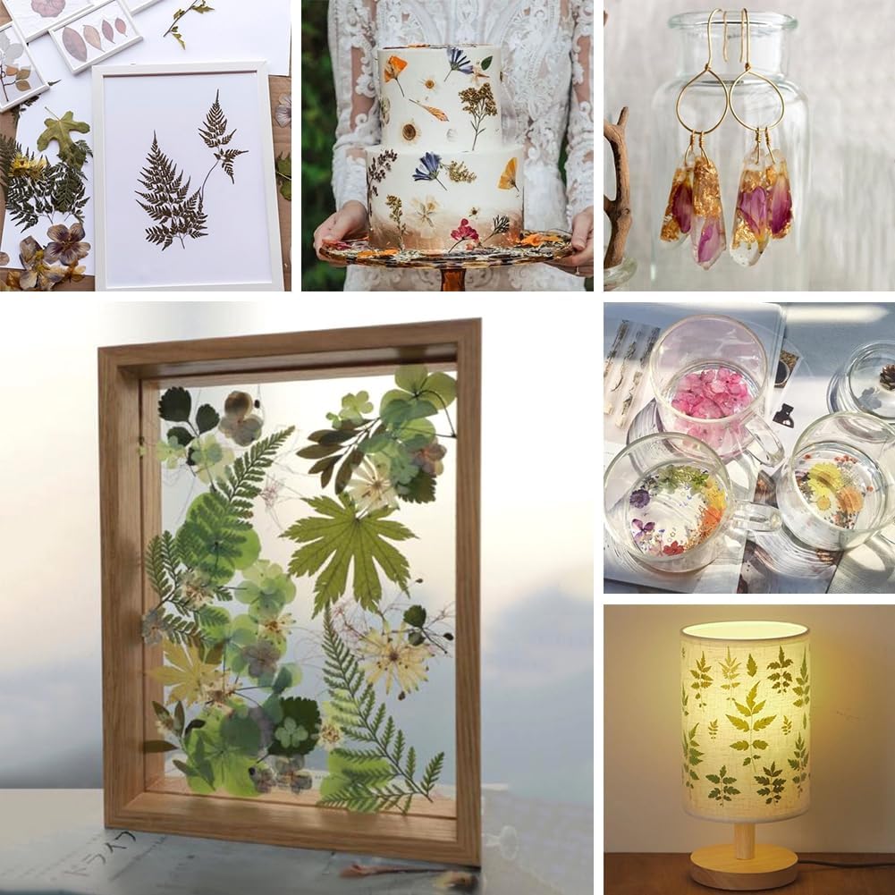 ikasus Black Pressed Dried Flowers for DIY Crafts and Resin Art