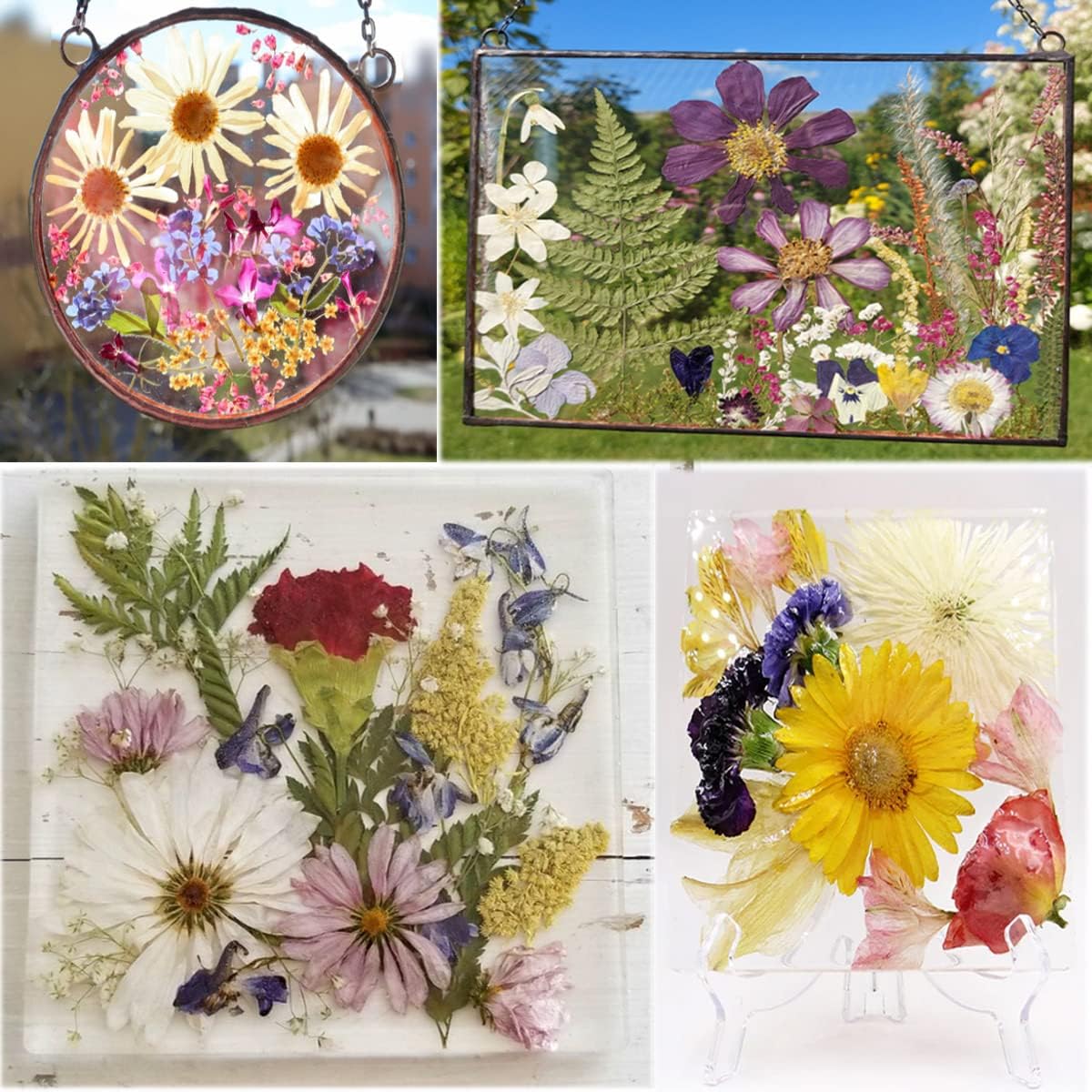 OECOO Purple Dried Pressed Flower for Resin Crafts