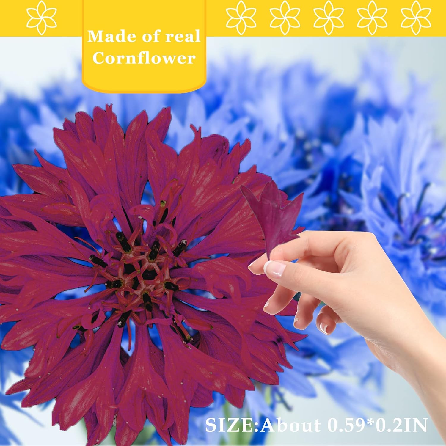 Dried Corn-Flower for Resin Jewelry Crafts 50PCS