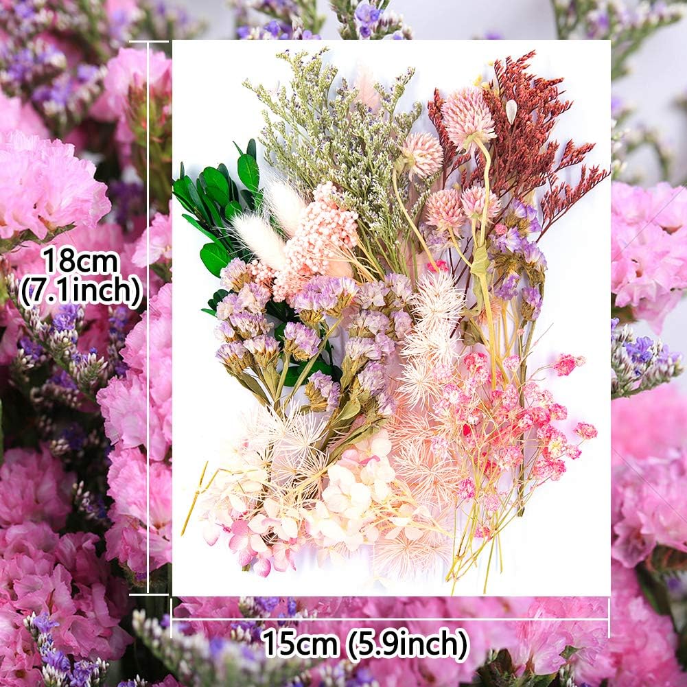 Vignee Real Dried Pressed Leaf Flowers Light Pink