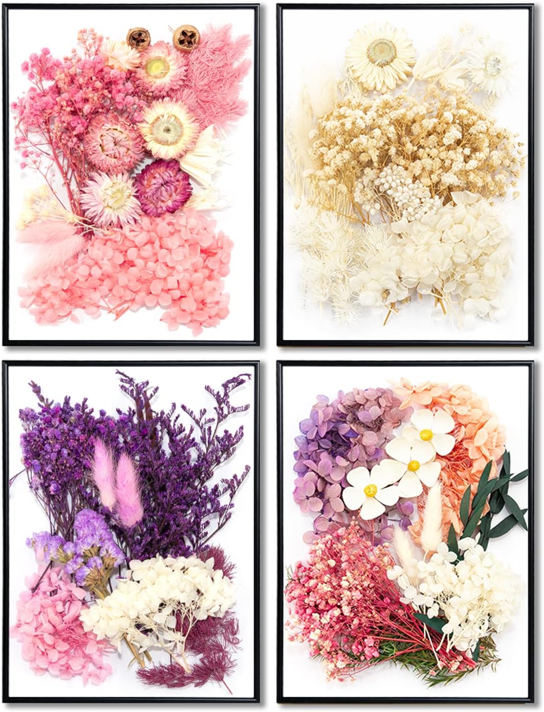 Vignee Real Dried Pressed Flower Daisies Craft DIY White