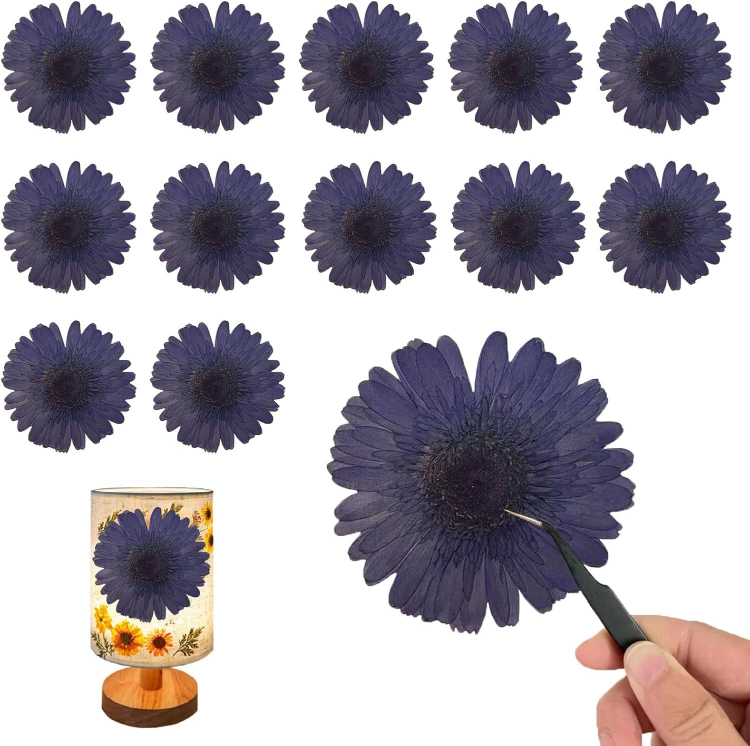 ALJ Large Purple Dried Sunflowers for Resin Crafts