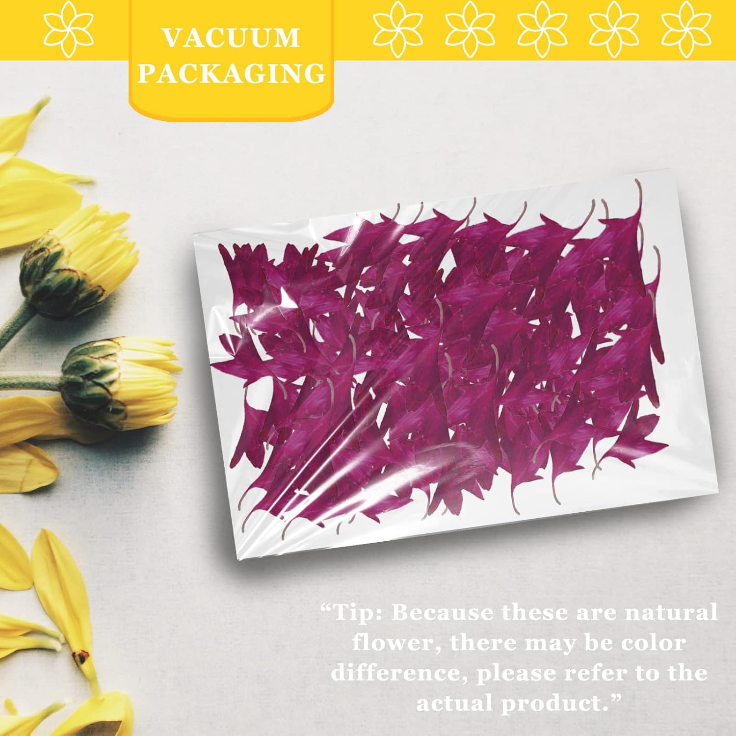 Dried Corn-Flower for Resin Jewelry Crafts 50PCS