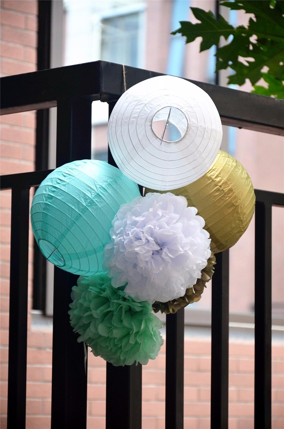 Fascola 6 Piece Paper Lantern and Tissue Flower Set