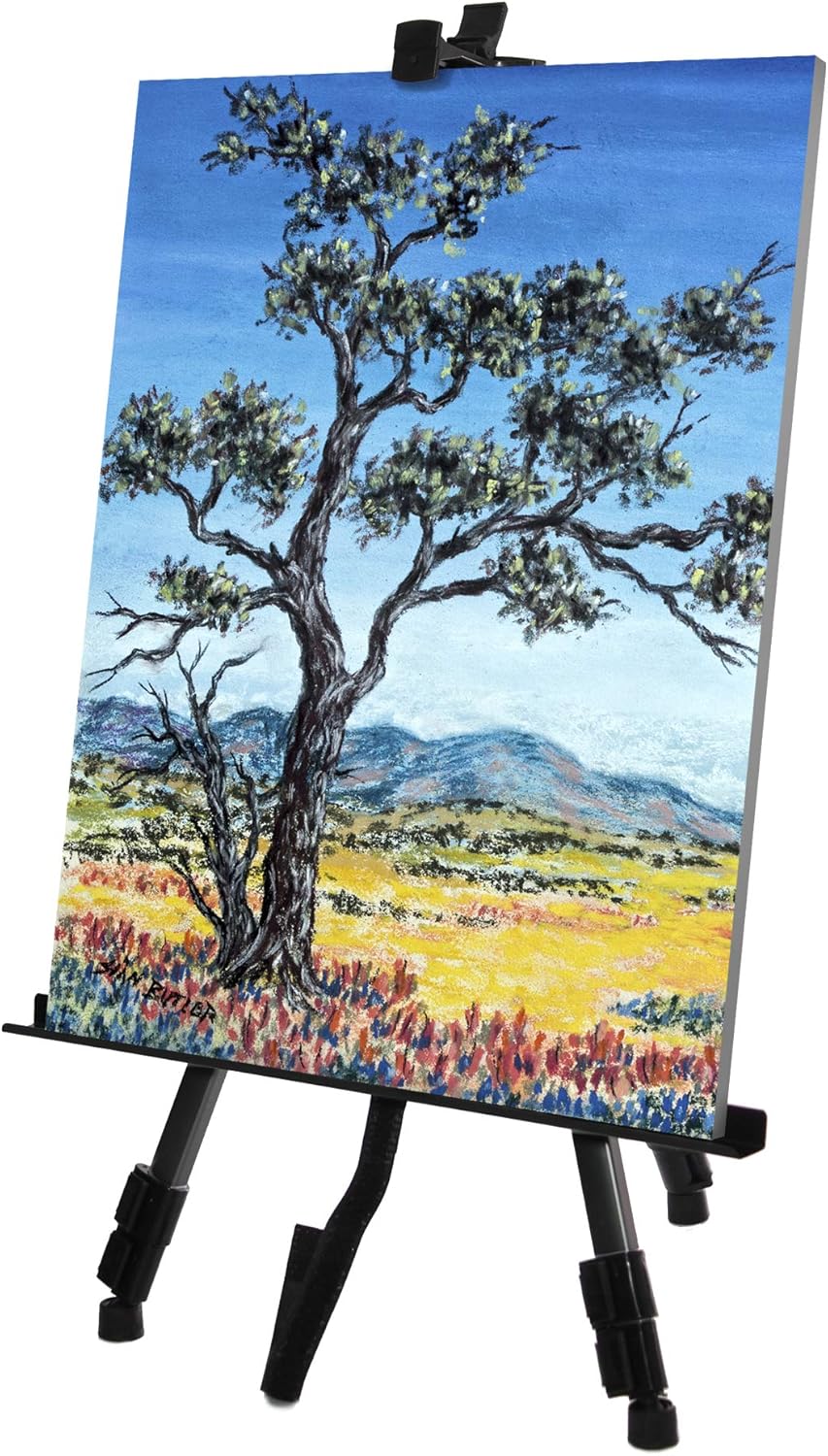 VViViD Black Aluminum Adjustable Display Easel with Carrying Case 64