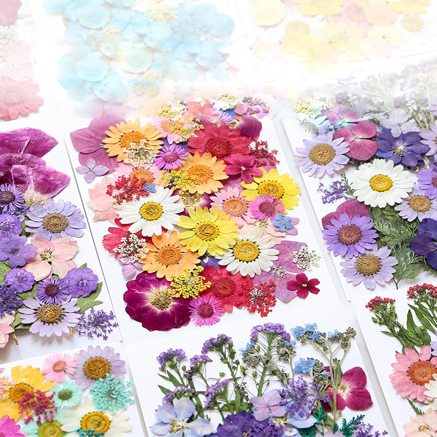 TopFunny 40 Pcs Resin Dried Flowers for DIY Art Crafts
