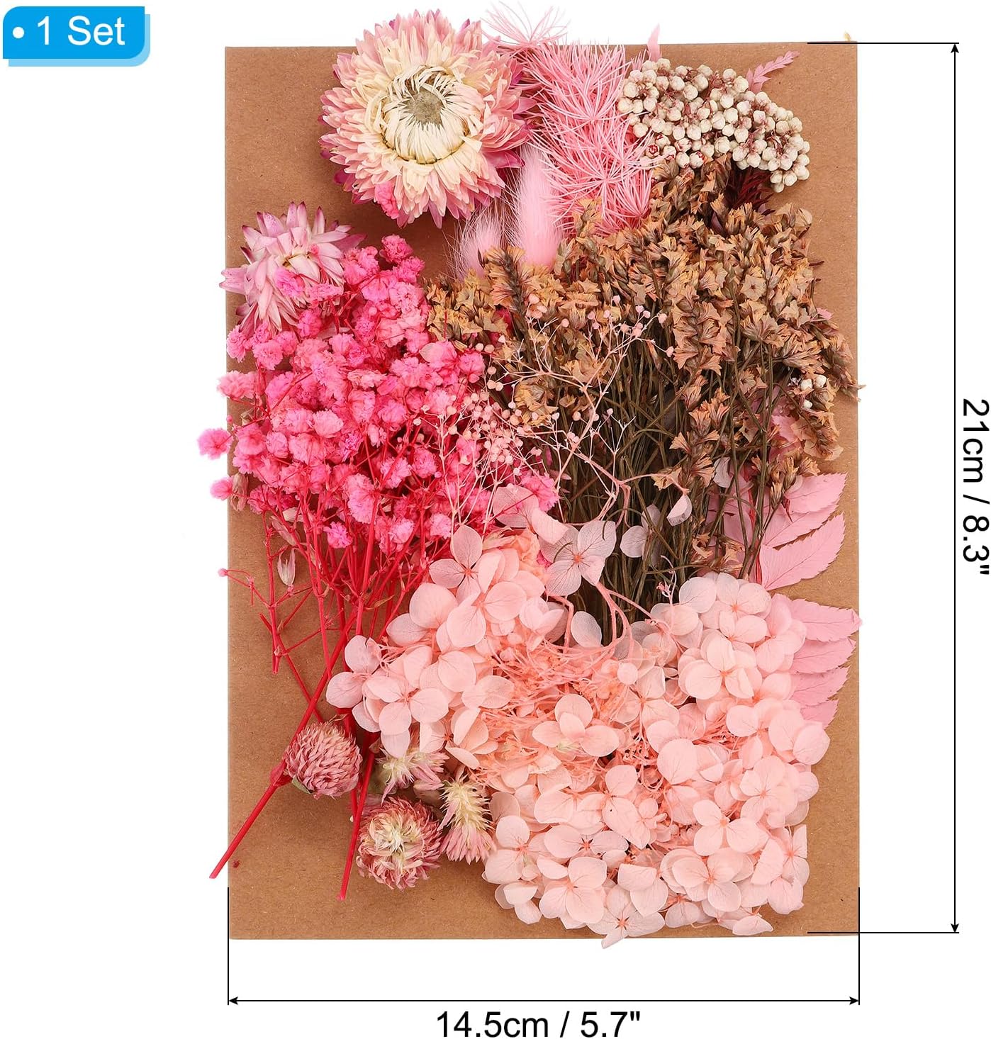PATIKIL Pink Pressed Flowers for Craft and DIY